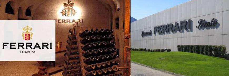 Secondo Giorno - Cantine Ferrari Castel THUN